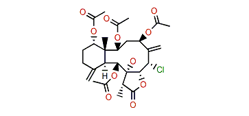 Junceellonoid A